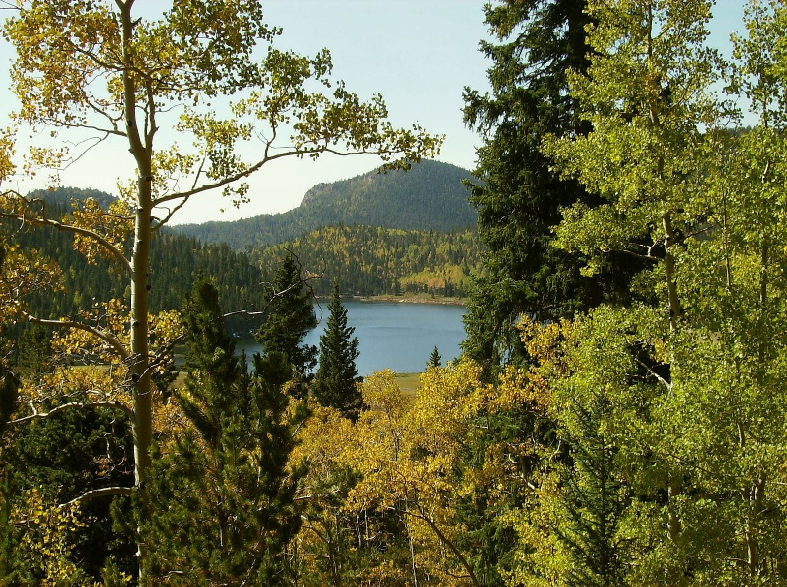 Skaguay Reservoir Victor CO Fall