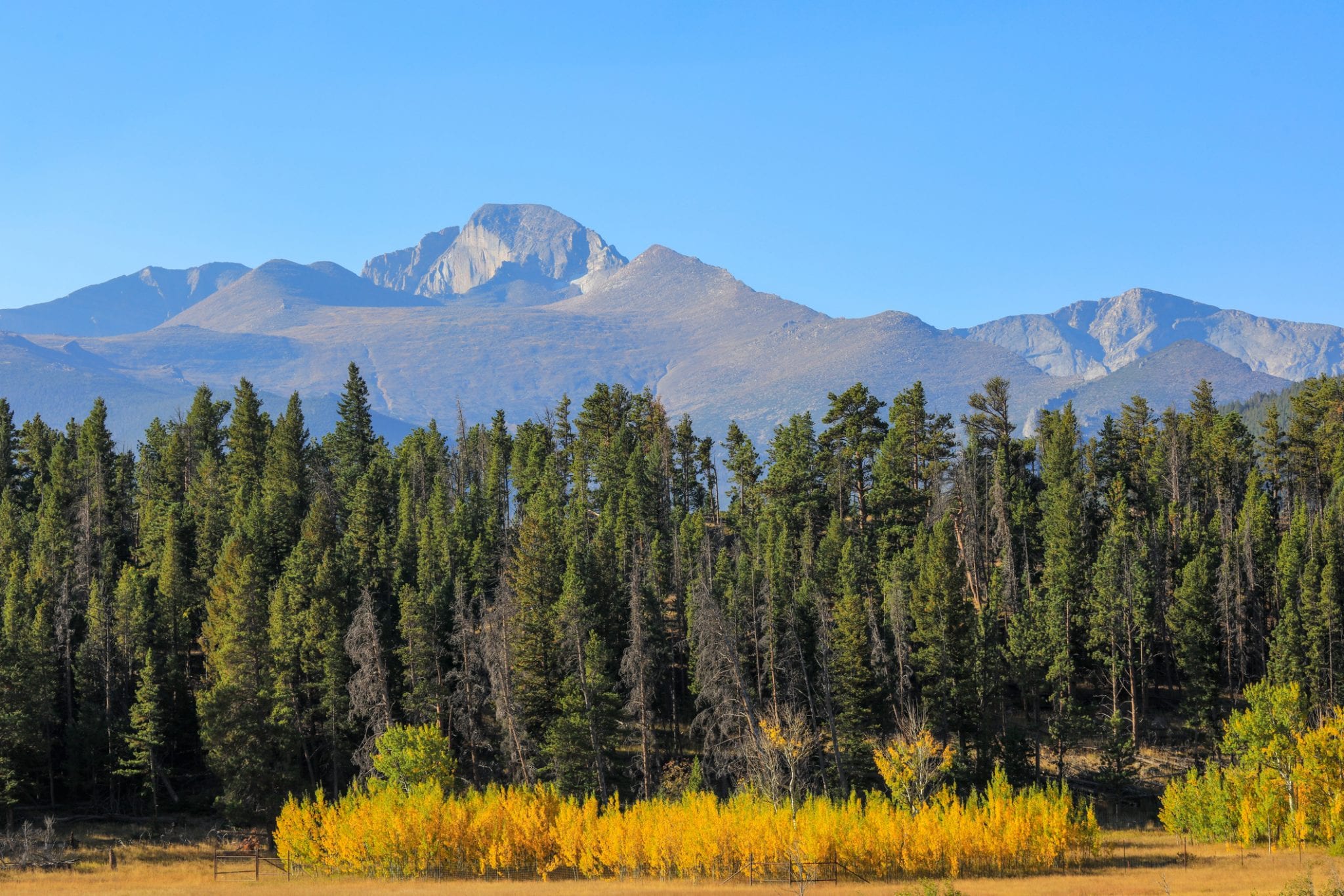 upper beaver meadows rocky mountain national park