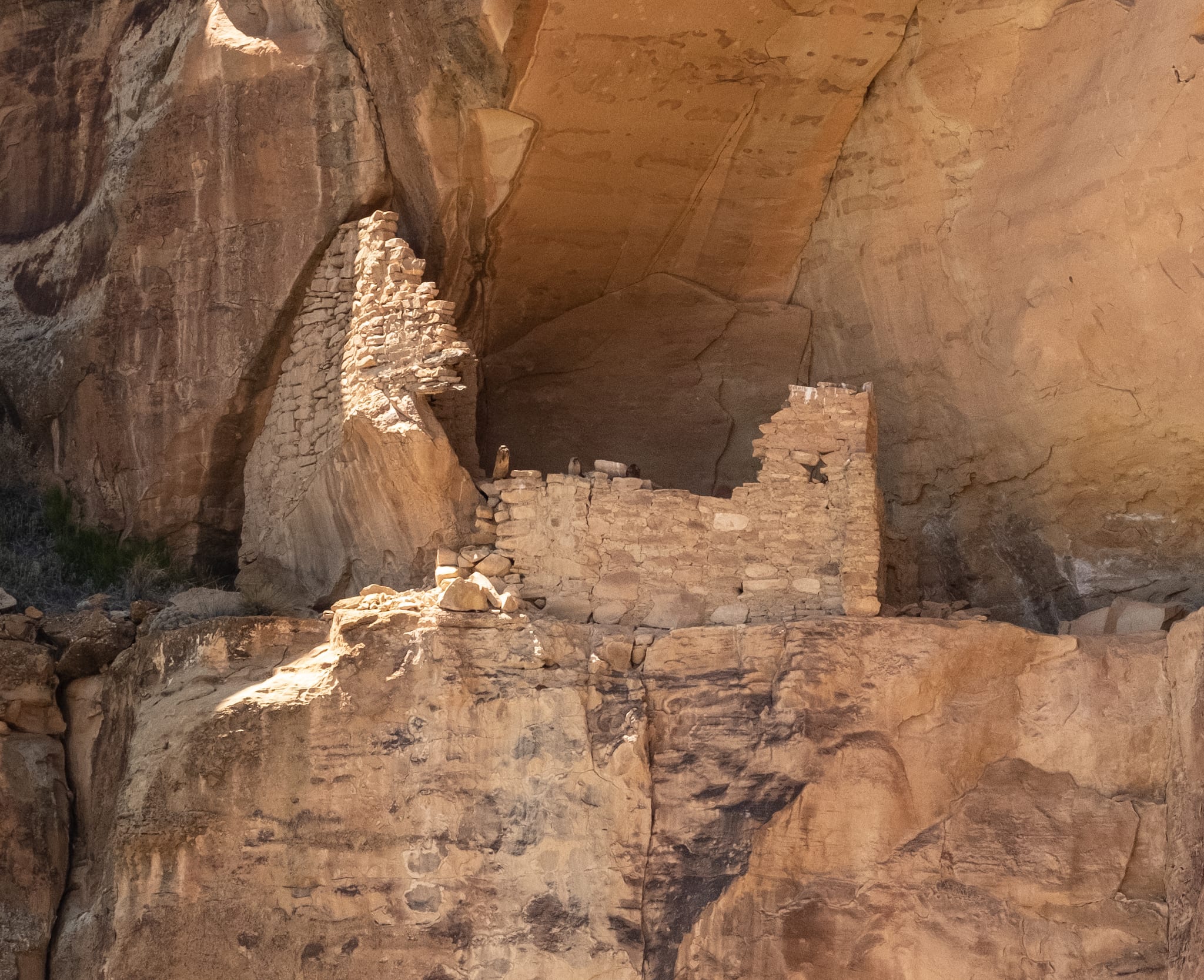 Ute Mountain Tribal Park Lion House Ruin
