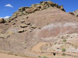 Dinosaur Hill in Fruita, CO