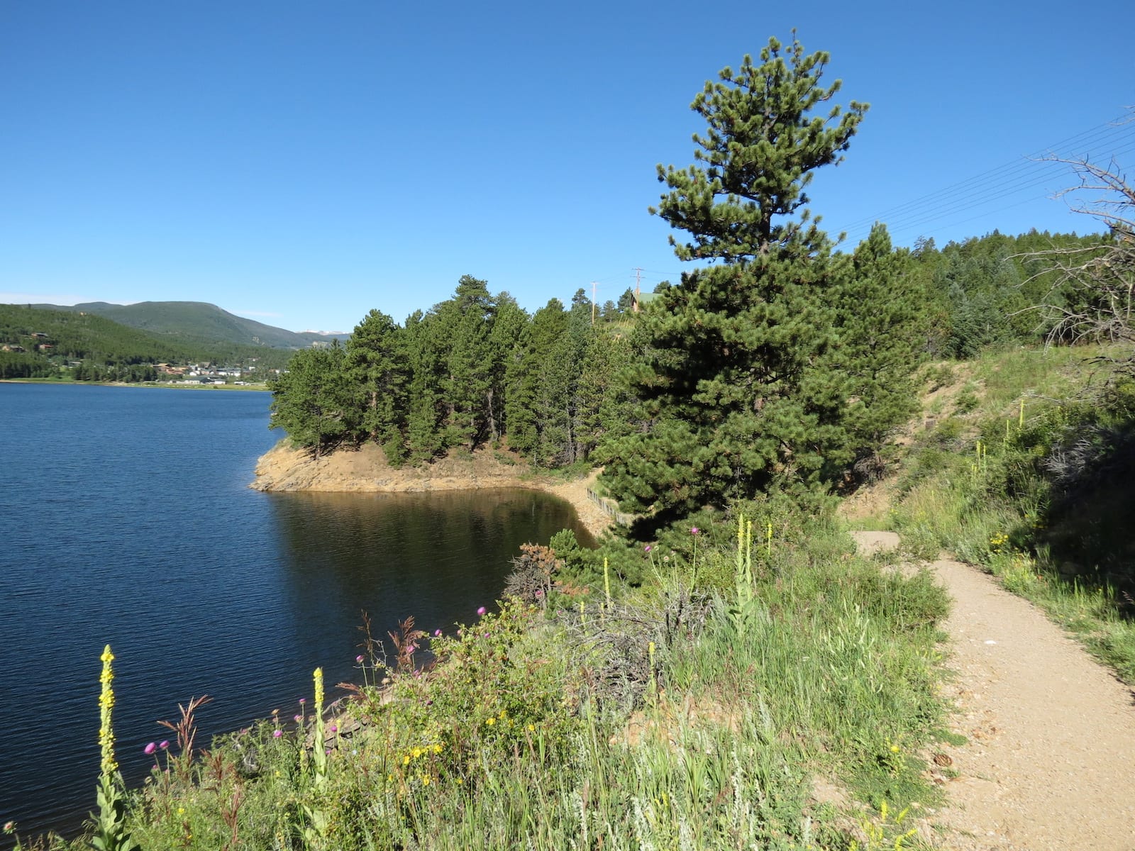 Barker Meadow Reservoir Nature Trail Nederland CO