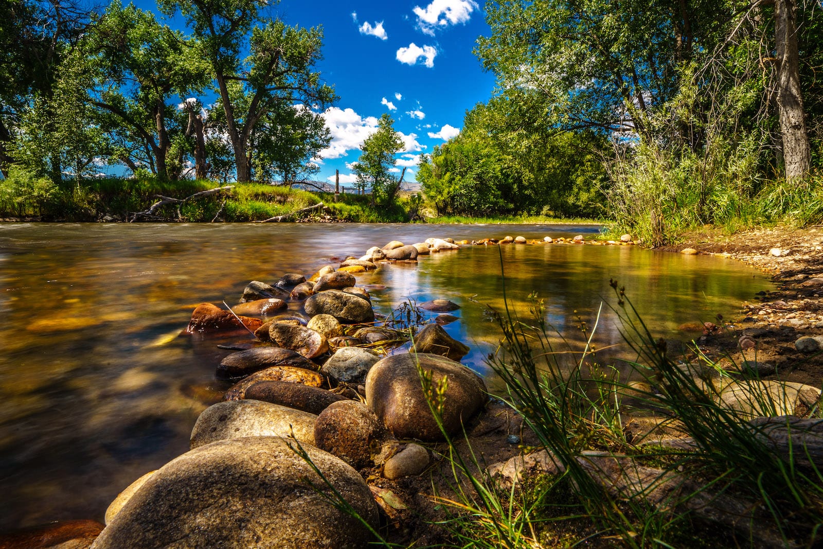 Cache La Poudre River Fort Collins CO