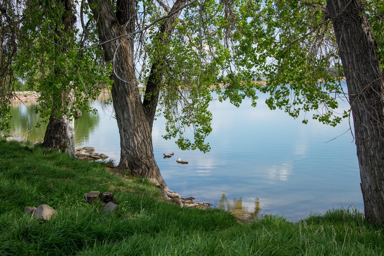 Waneka Lake Park Lafayette Colorado