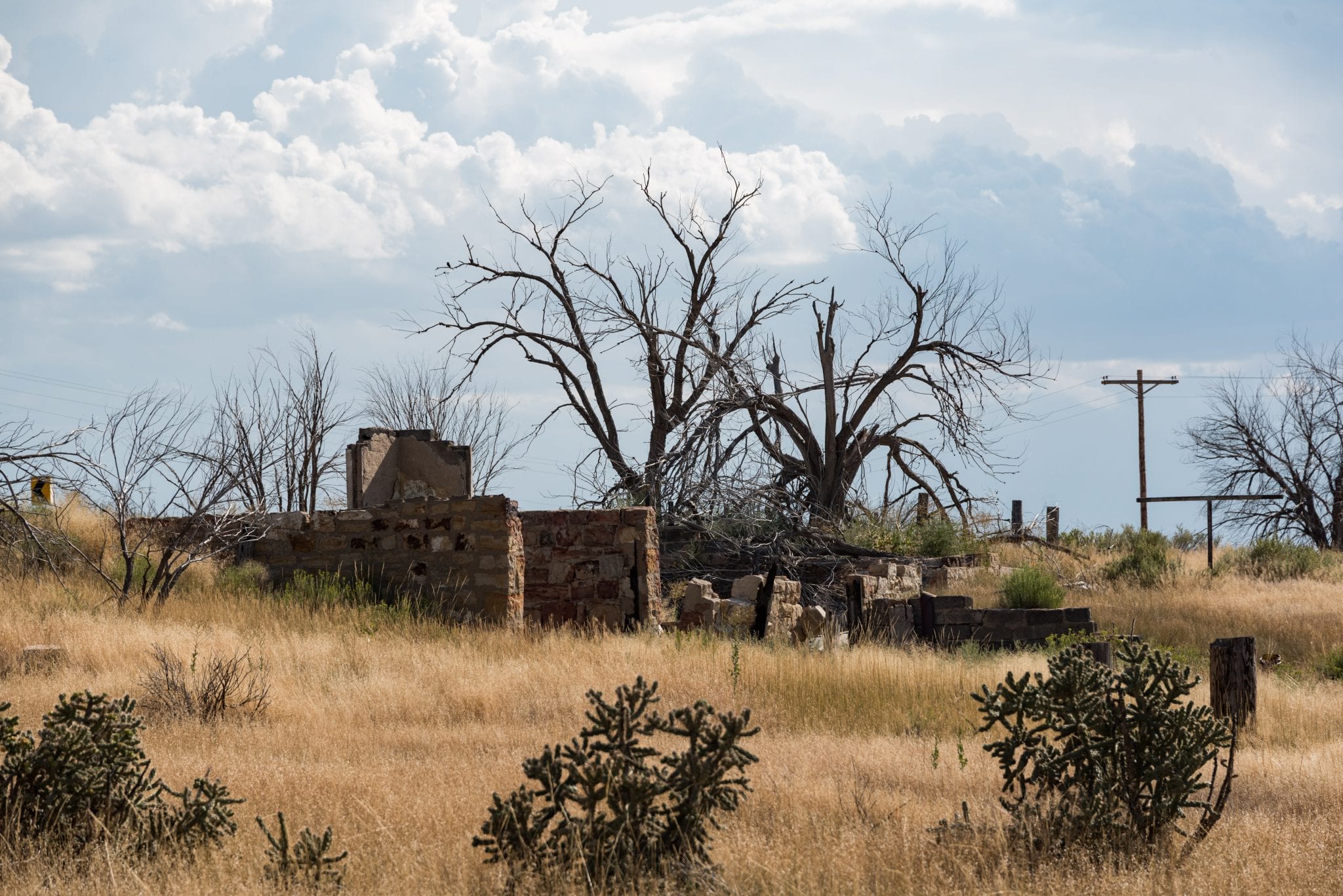 image of thatcher colorado