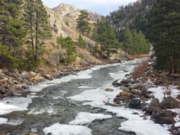 Cache La Poudre River Eastward Grey Rock Trail