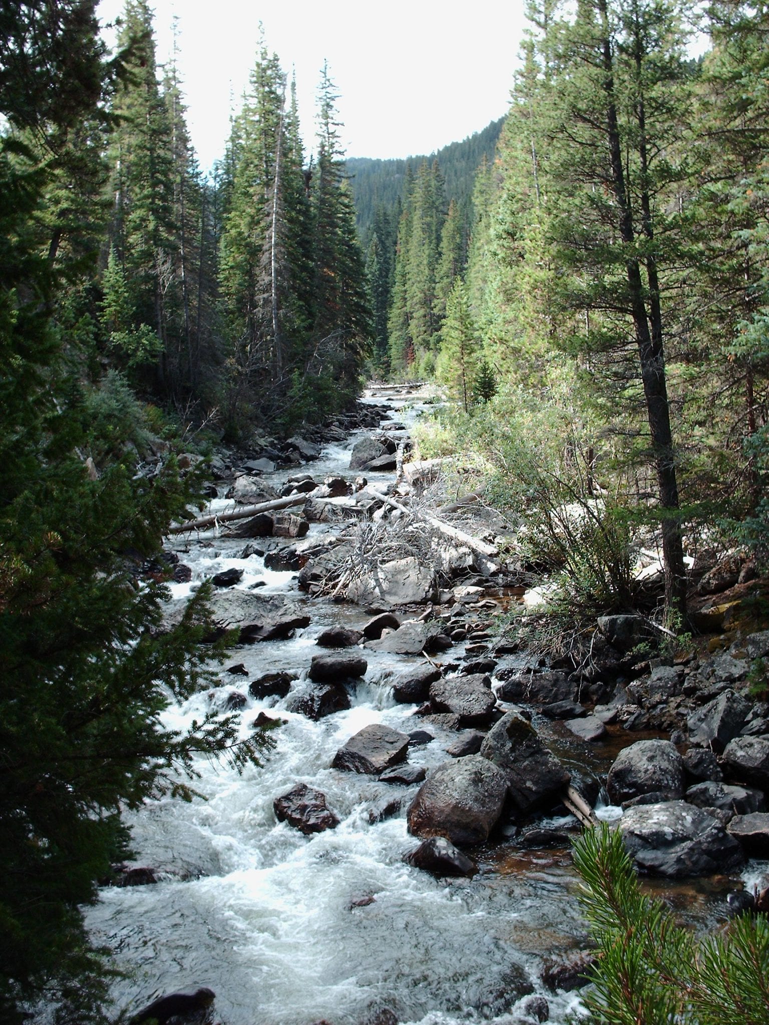 Cache La Poudre River Rapids