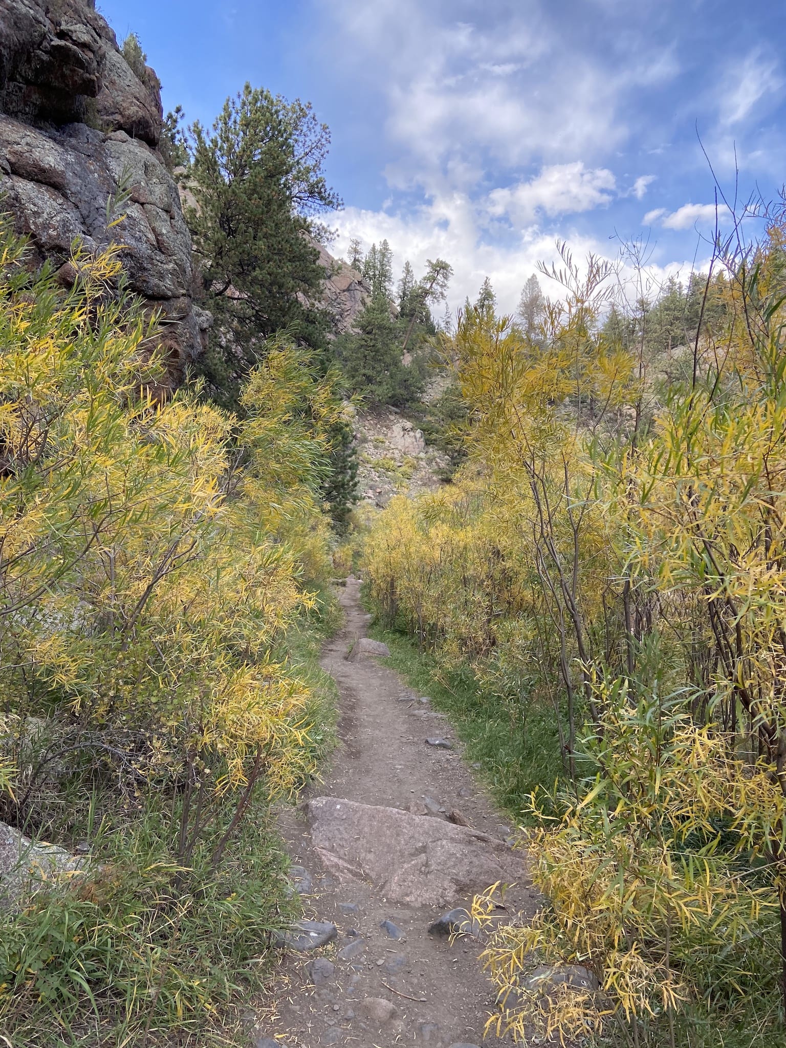 Autumn Guffey Gorge Hiking Trail