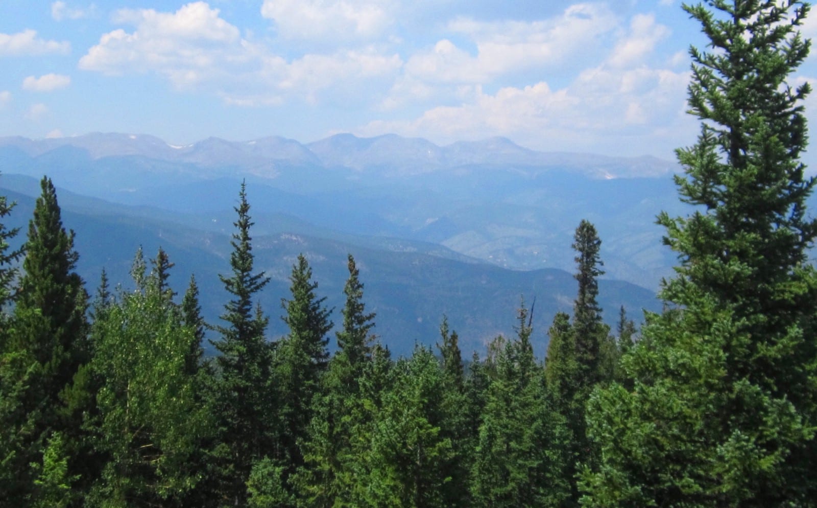 Squaw Pass Colorado Landscape