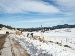 Squaw Pass Road Evergreen CO