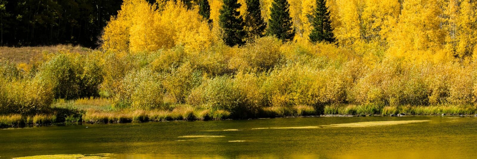 Priest Lake, Colorado