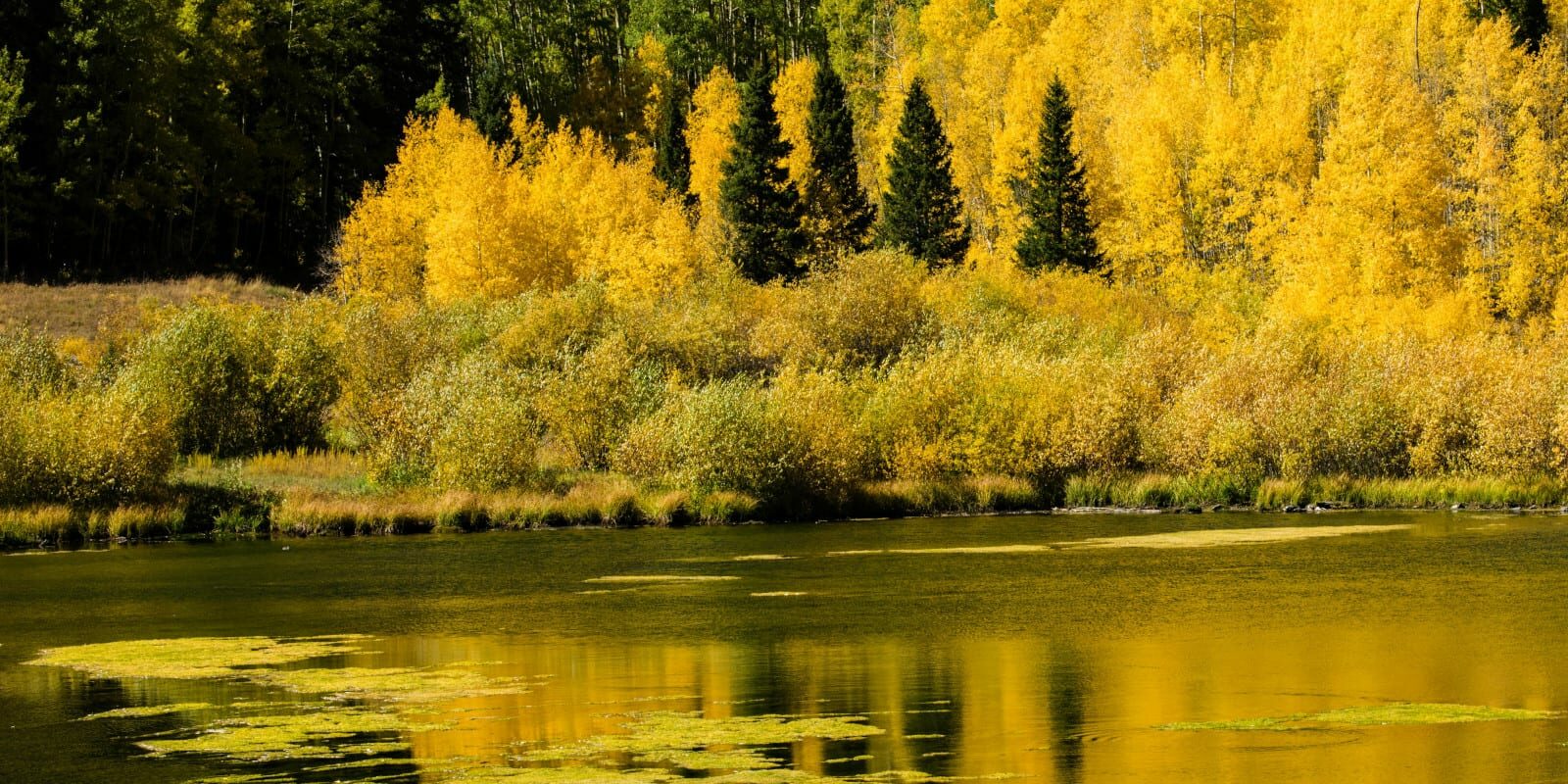 Priest Lake, Colorado