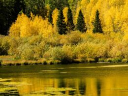 Priest Lake, Colorado