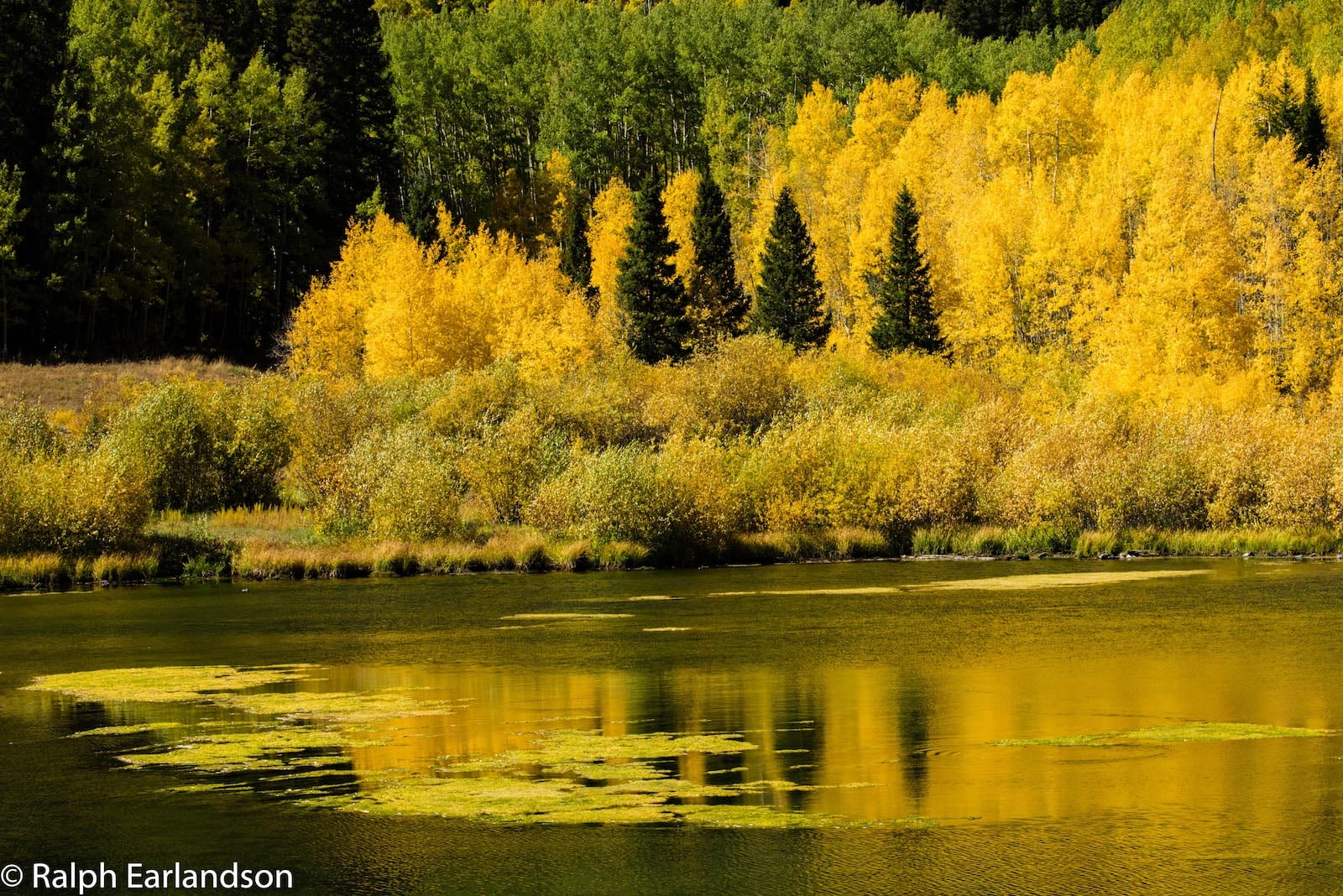 Priest Lake, Colorado
