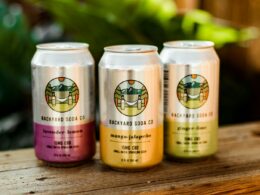 Backyard Soda Co. CBD Infused Sodas