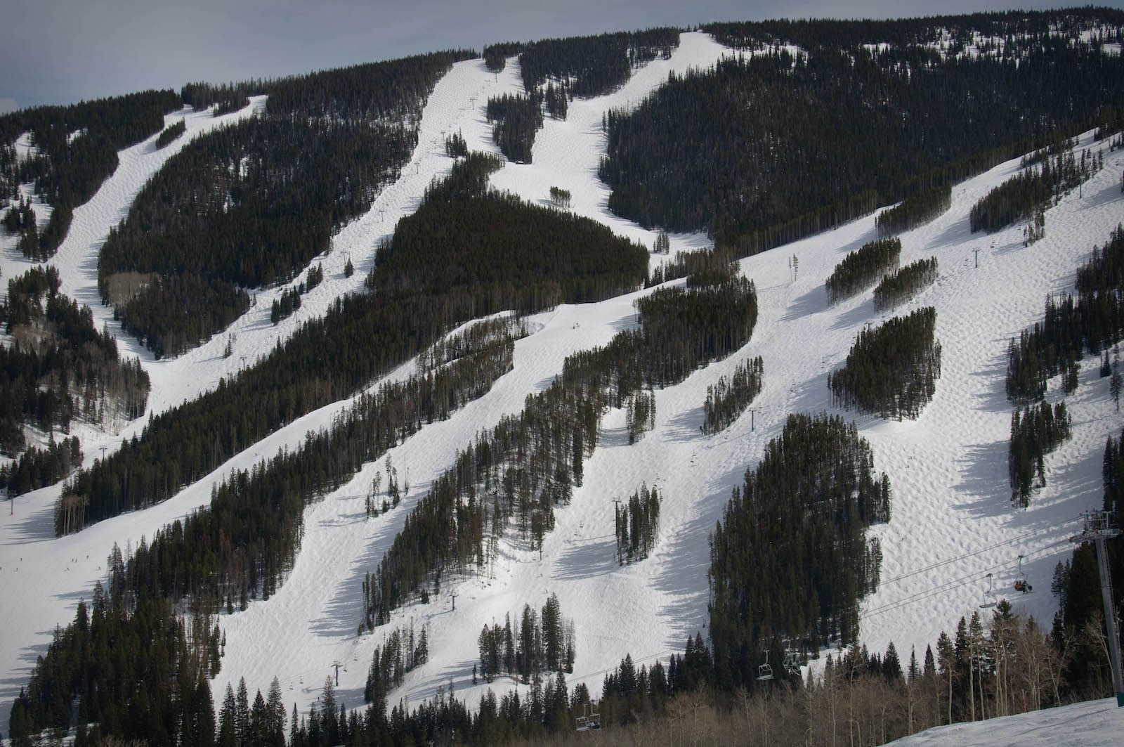 Beaver Creek Ski Resort Trails