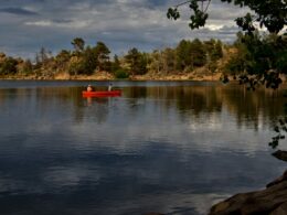 Bellaire Lake Fishing Boat Colorado