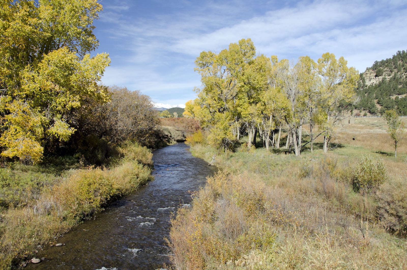 Bosque del Oso State Wildlife Area Colorado