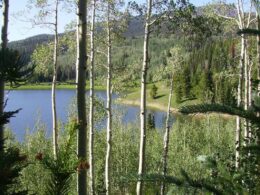 Chapman Reservoir Yampa Colorado