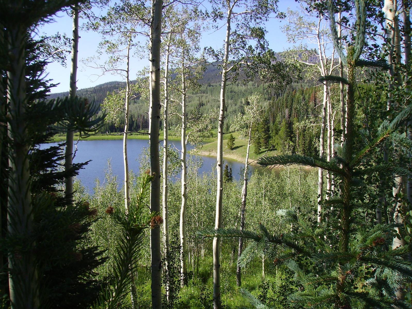 Chapman Reservoir Yampa Colorado