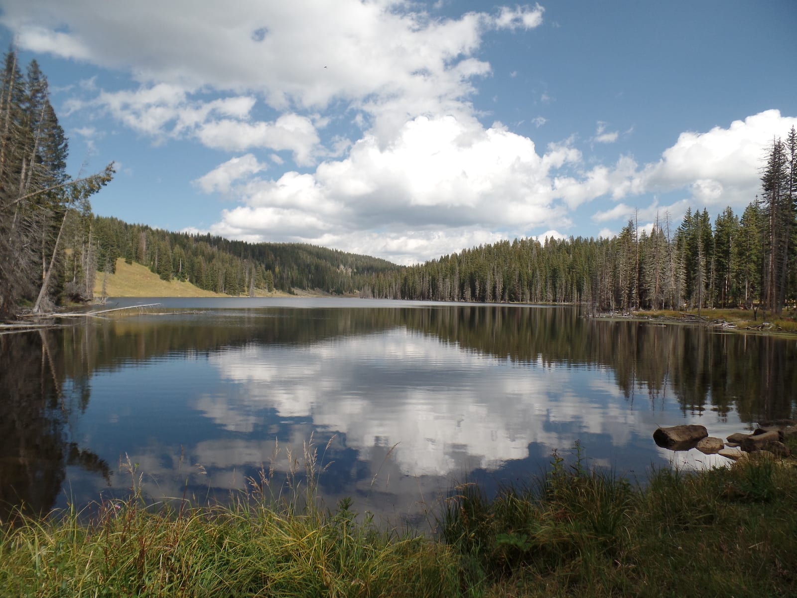 Island Lake Grand Mesa Colorado