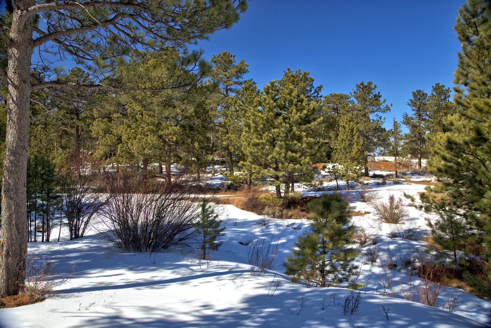 Dowdy Lake Campground Winter Colorado