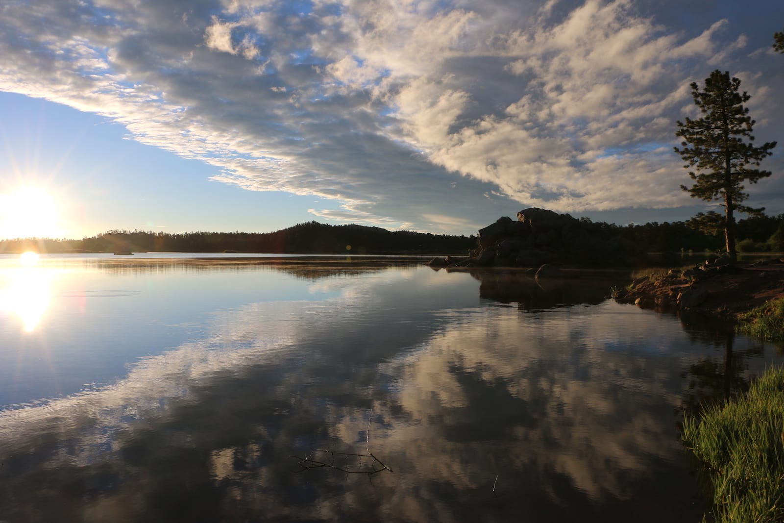 Dowdy Lake Sunrise with Evergreen Tree Colorado