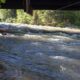 Fly Fishing Roaring Fork River Aspen CO