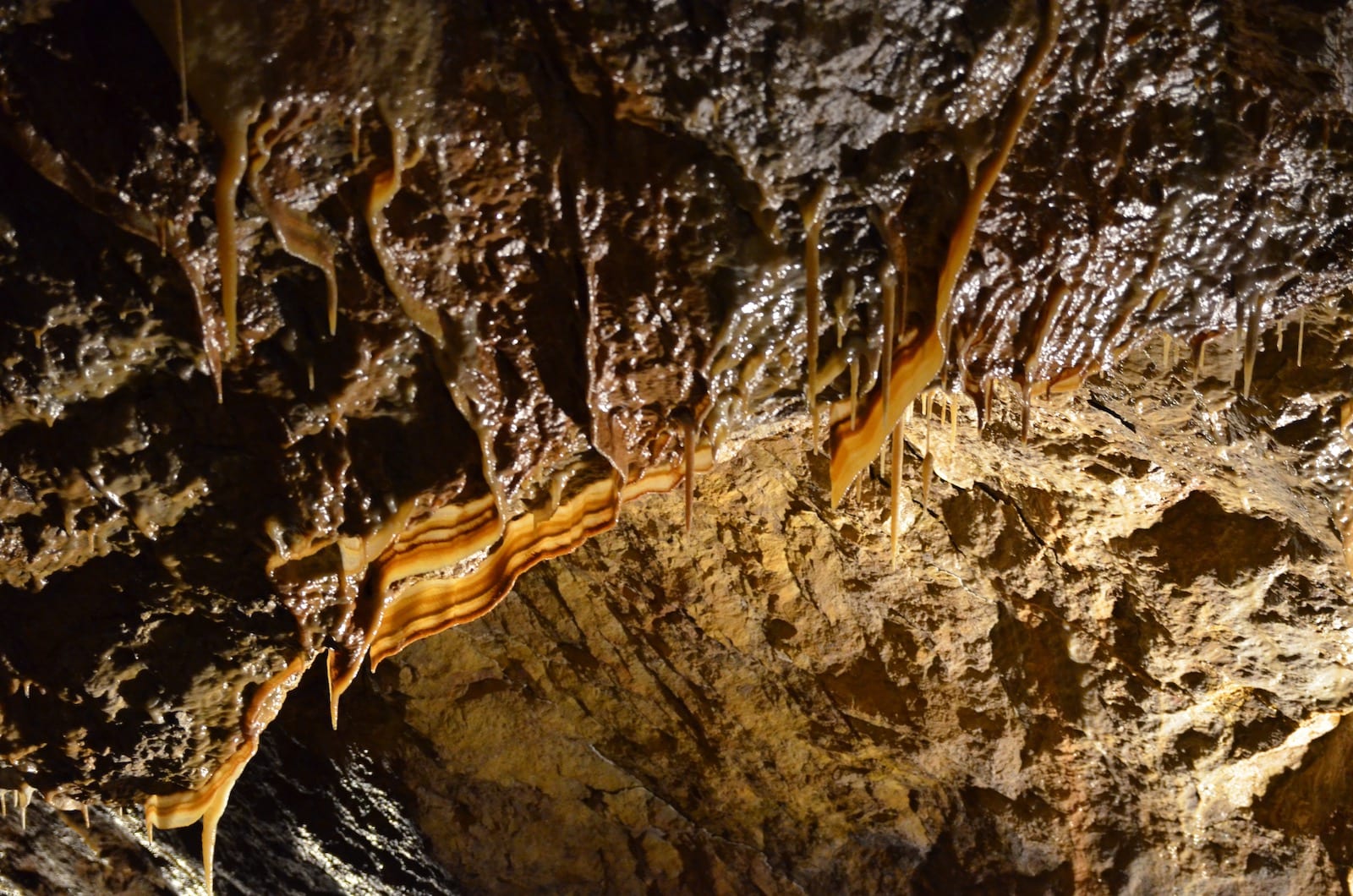 Glenwood Caverns Adventure Park Glenwood Springs, CO Uncover Colorado