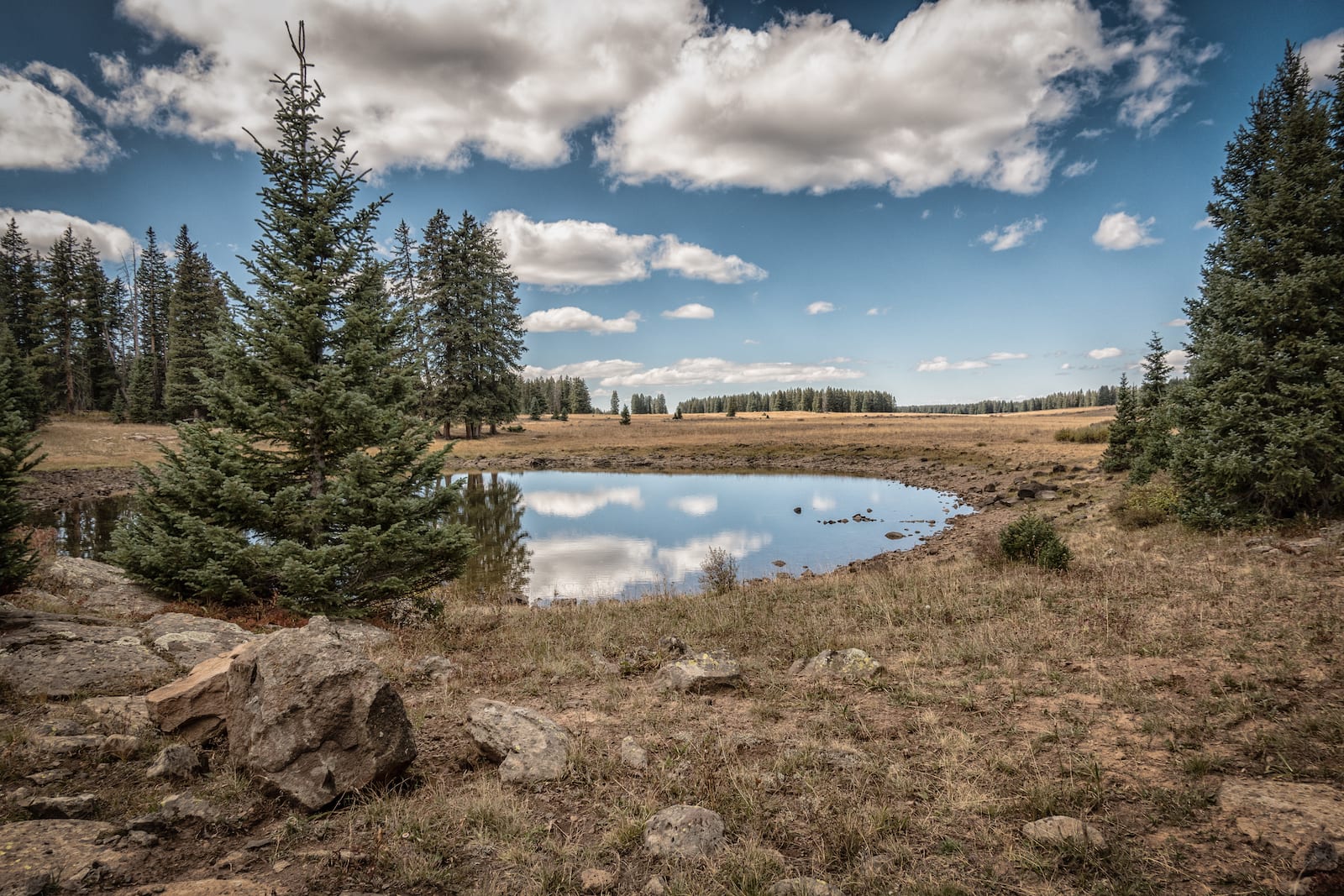 Grand Mesa National Forest Pot Hole Pond