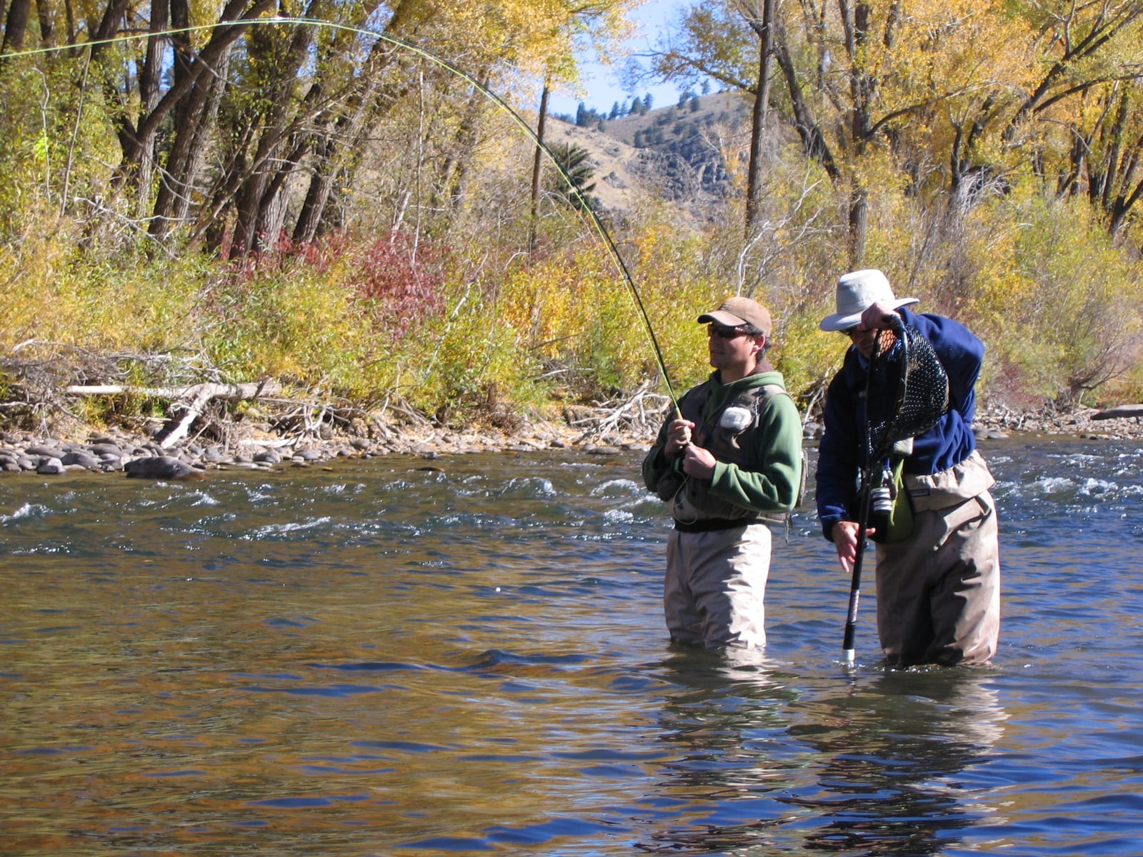 Memancing di dekat Crested Butte CO Gunnison River