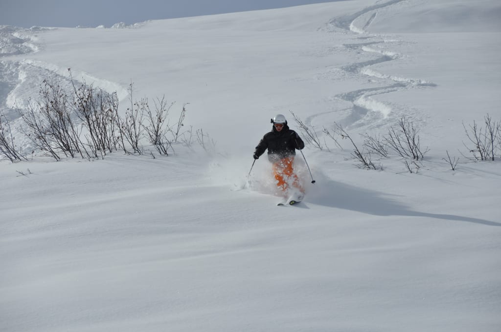 Ski Lingo Champagne Powder Carving Fresh line