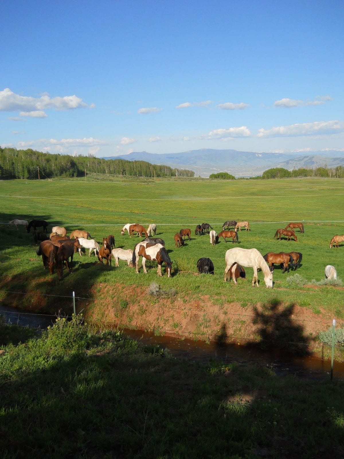 Latigo Ranch, CO