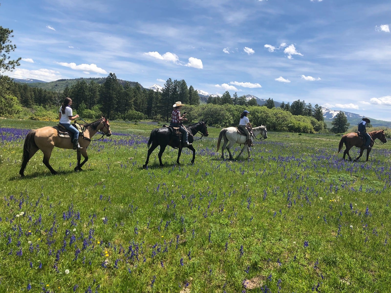 Image of 4 people riding horses in a flower covered field at Majestic Dude Ranch, CO