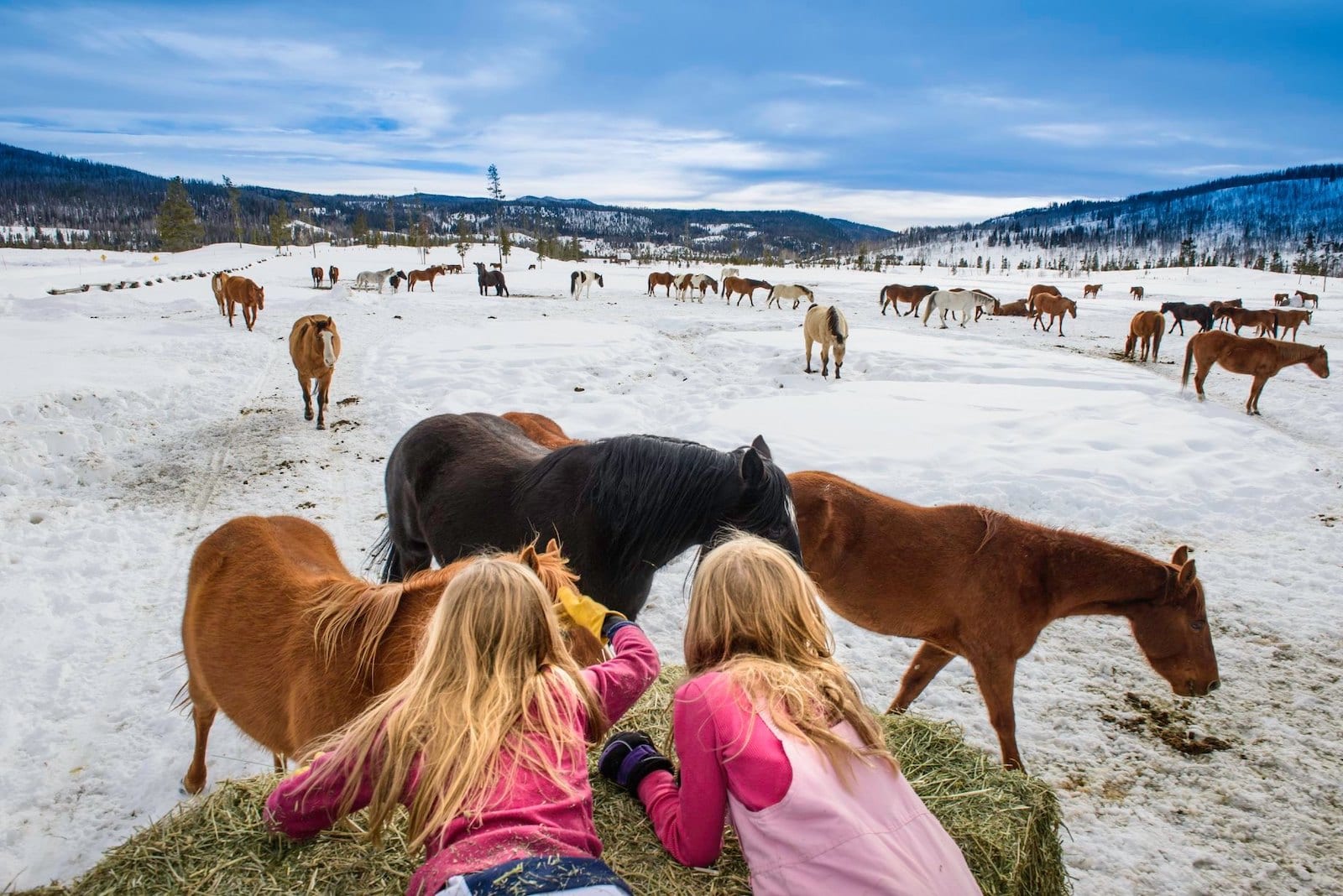 Image of two young girls petting the horses at Vista Verde Ranch, CO