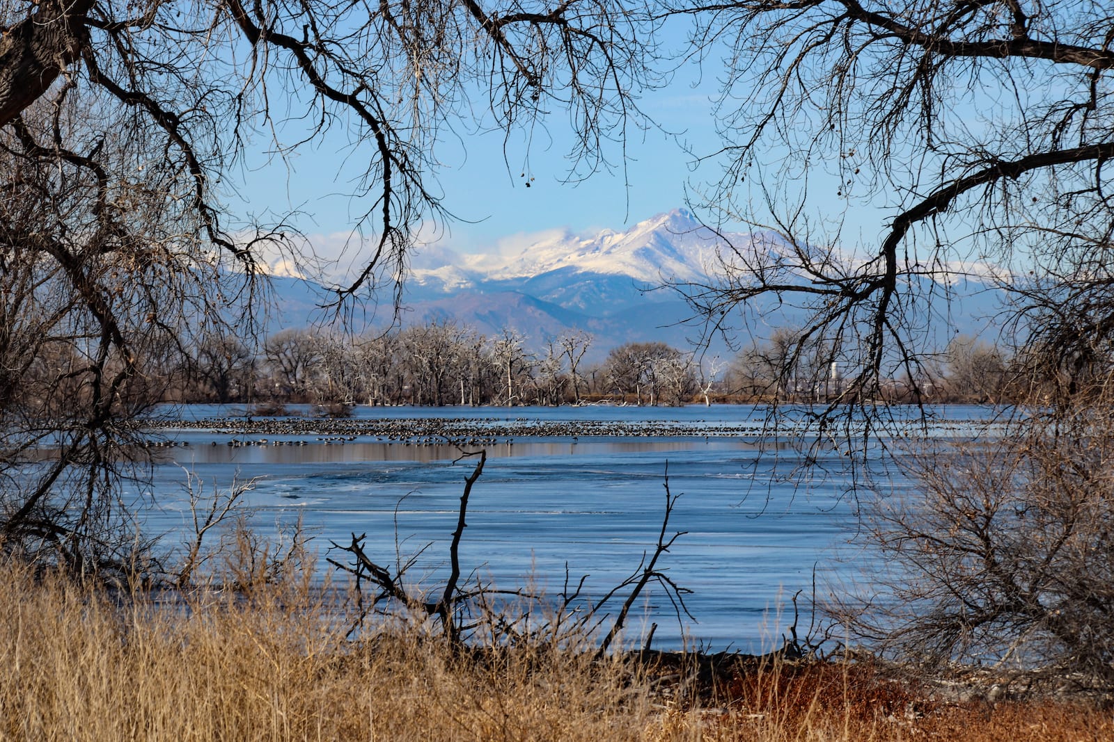 Barr Lake Longs Peak in distance Colorado