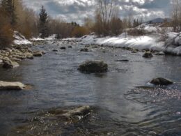 Blue River north of Silverthorne CO