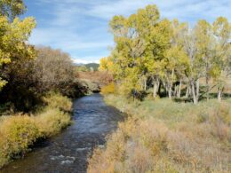 Bosque del Oso State Wildlife Area Colorado