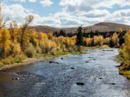 Colorado River, near Parshall, Colorado