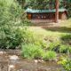 image of colorado bear creek cabins