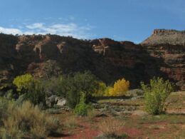 South end of South end of Dominguez Canyon Wilderness Area Colorado