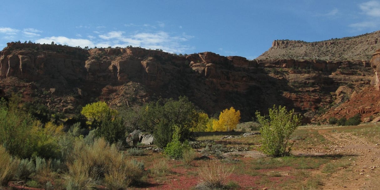 South end of South end of Dominguez Canyon Wilderness Area Colorado