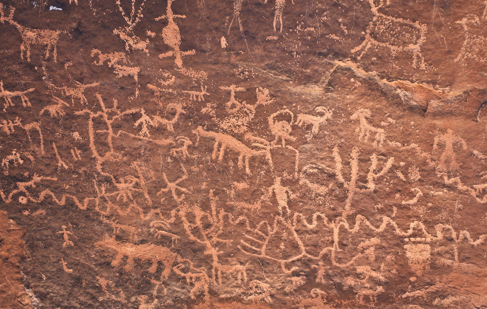 Dominguez-Escalante NCA Petroglyph