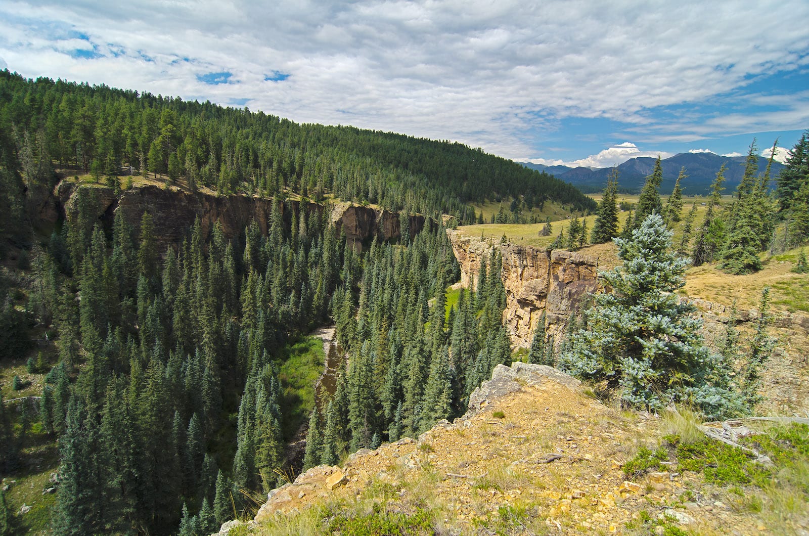 Ice Cave Ridge dekat Pagosa Springs CO