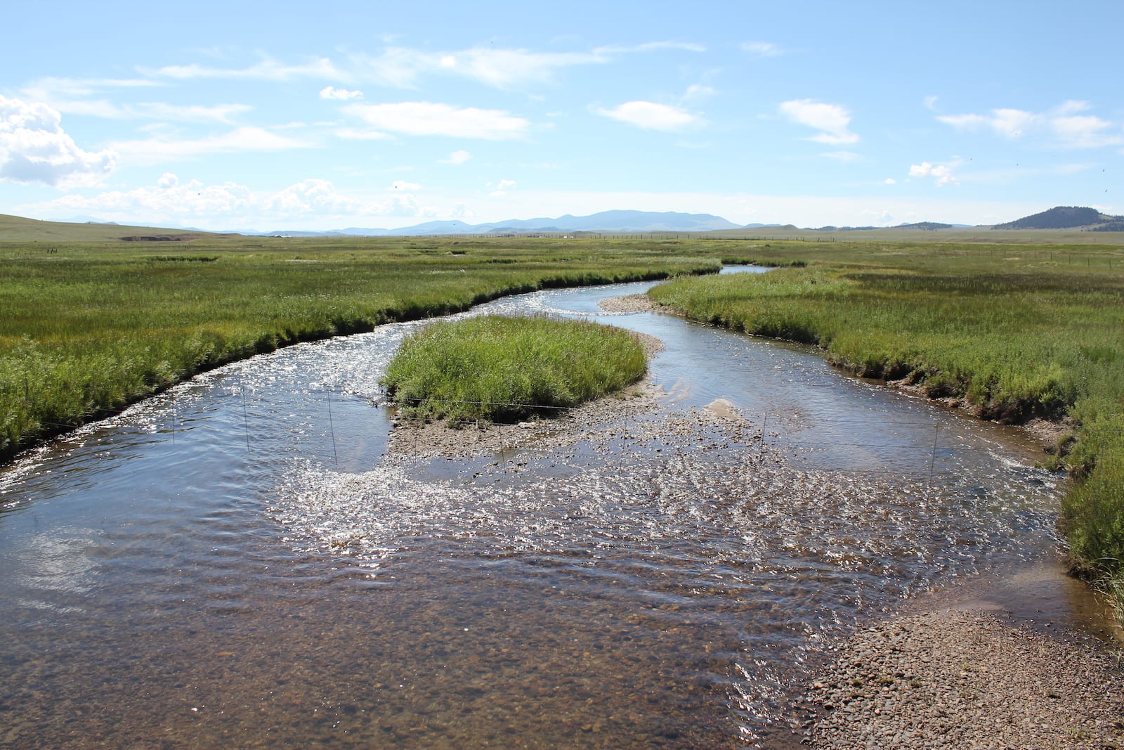 Middle Fork South Platte River Hartsel CO