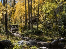 Mount Evans Wilderness Hell's Hole Trail