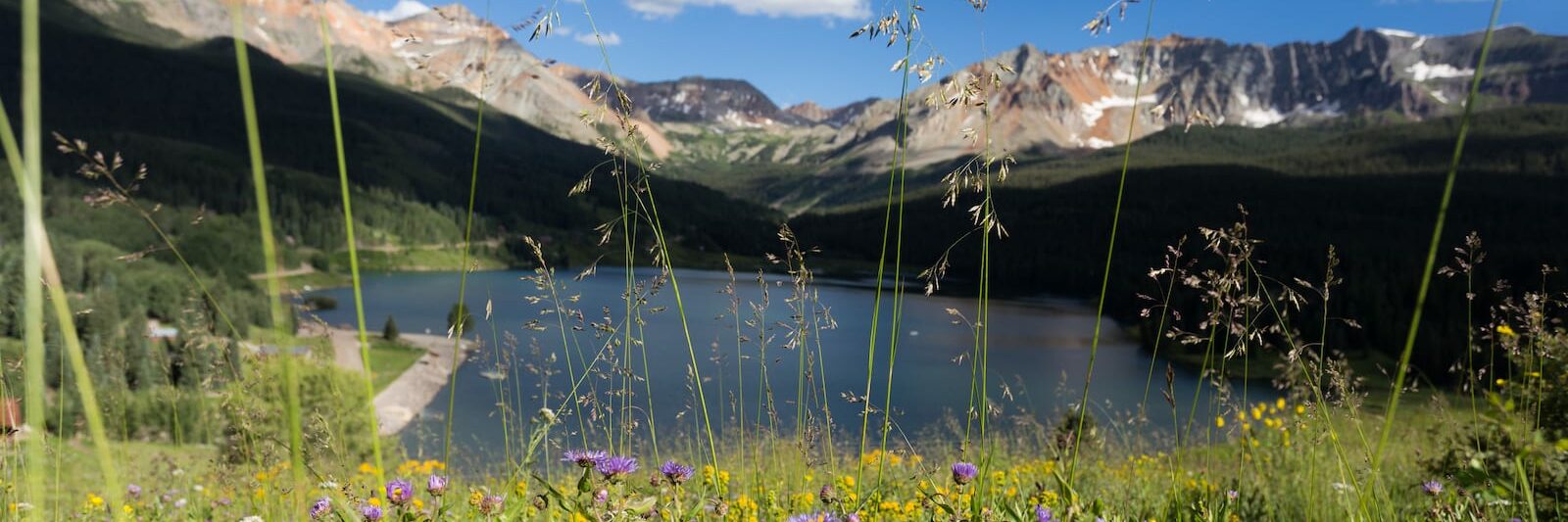 Trout Lake Ophir Colorado