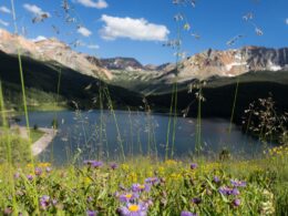 Trout Lake Ophir Colorado