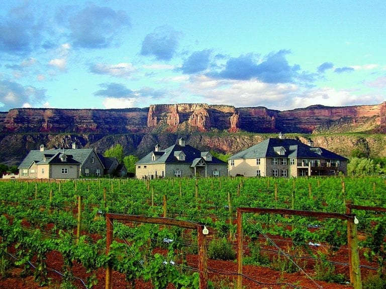 4 Best B&Bs in Grand Junction & Palisade, CO Bed and Breakfasts