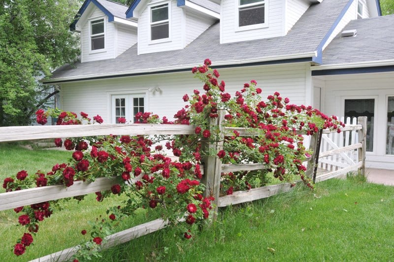 image of willow pond bed and breakfast