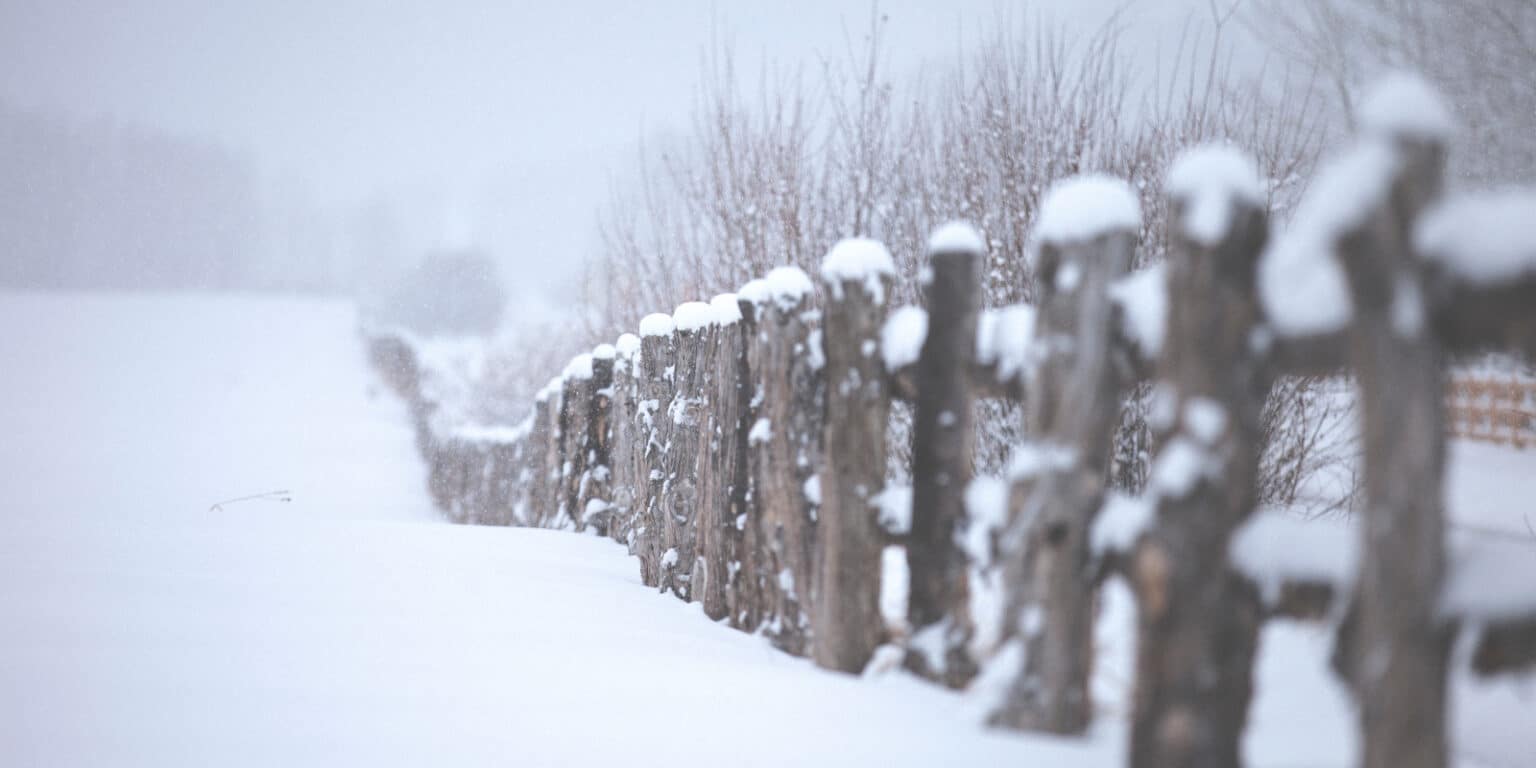 Where in Colorado Gets the Most Snow? - Uncover Colorado